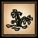 Withered Flower