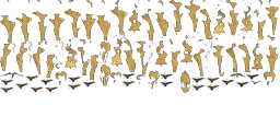 Image 243