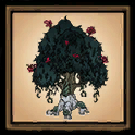 Knobbly Tree