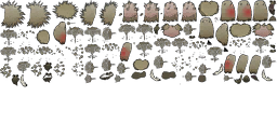 Image 247