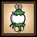Bulbous Lightbug
