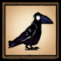 Crow