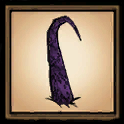 Baby Tentacle