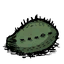 Cactus Flesh