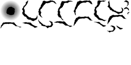 Obraz 9121
