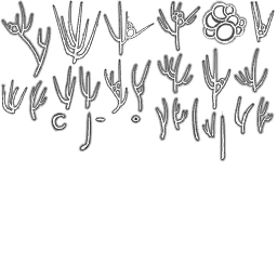 Immagine 2410