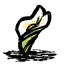 Image 17,382