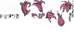 Image 100
