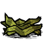 Kelp Fronds