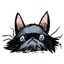 Image 17,492