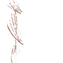 Image 4,062