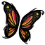Butterfly Wings