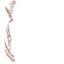 Image 4,113