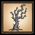 Albero spinoso
