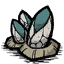 Barnacles