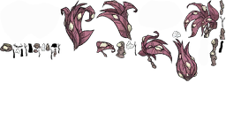 Image 252