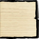 Immagine 11.981