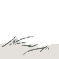 Image 13,063