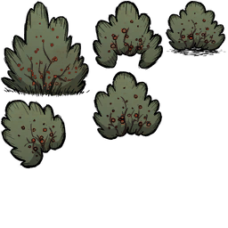 Image 4,104