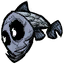 Pesce d'acqua dolce