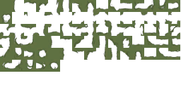 Image 251