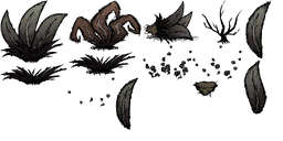 Image 2,804
