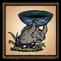 Superior Communal Kelp Dish