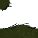Image 4,437
