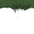 Image 13,155