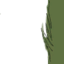 Image 4,479