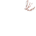 Image 4,486