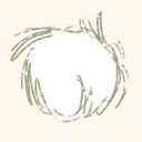 Image 4,492