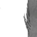 Image 13,191
