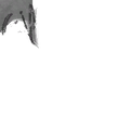 Image 13,194