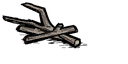 Obraz 4904