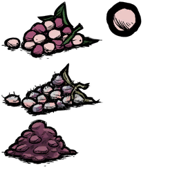 Image 10,861