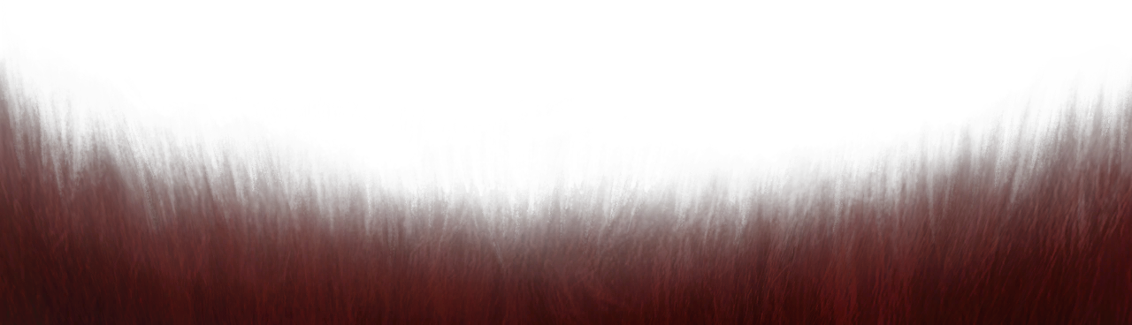 Obraz 6662