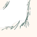 Image 4,572