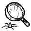 Obraz 18 599