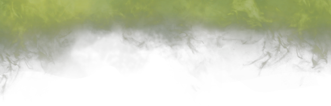 Image 5,141