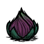 Fleshy Bulb