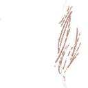 Image 4,604