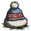 Winter Hat