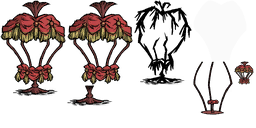 Image 3,506