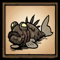 Mudfish