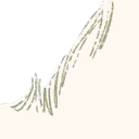 Image 4,648