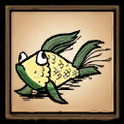 Corn Cod